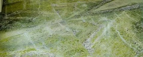 Irish Green Marble